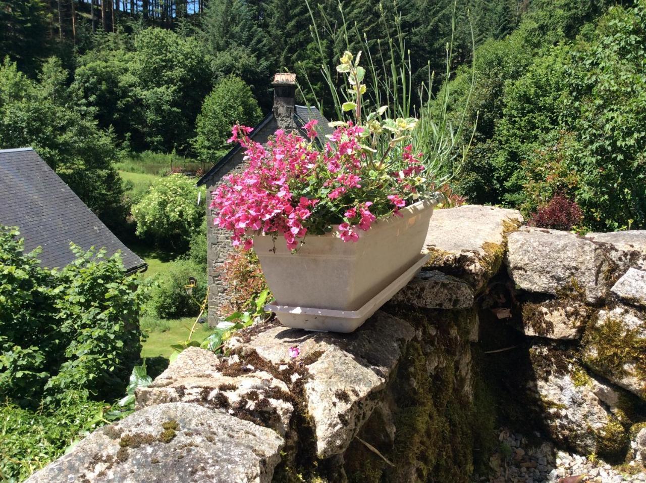 Bed and Breakfast Le Moulin Des Farges Meymac Экстерьер фото